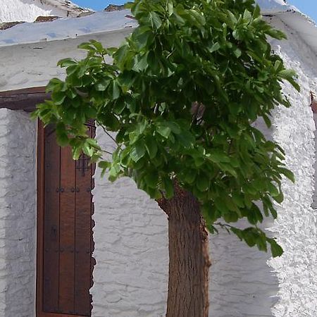 Вилла Casa El Rincon Del Angel Бубион Номер фото